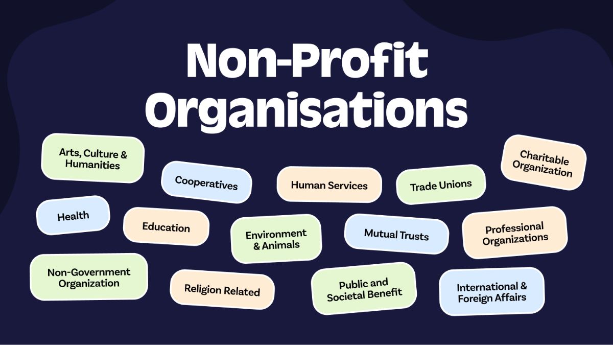 Social awareness initiatives represented through different types of non-profit organizations working for community impact