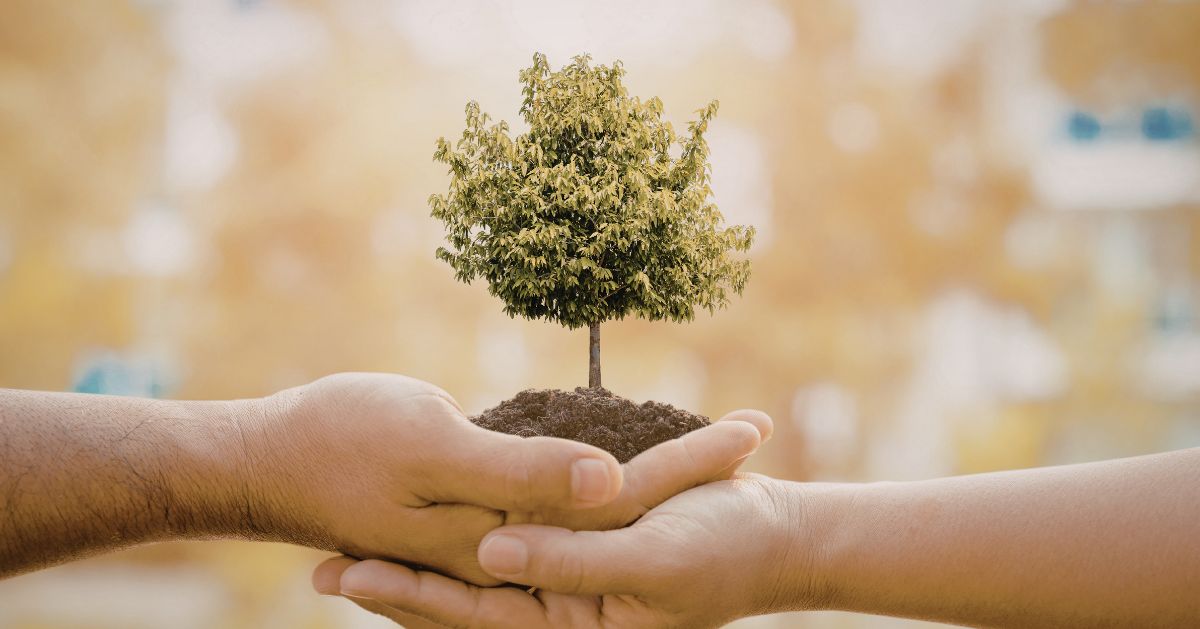 NGOs contributing to environmental protection in India
