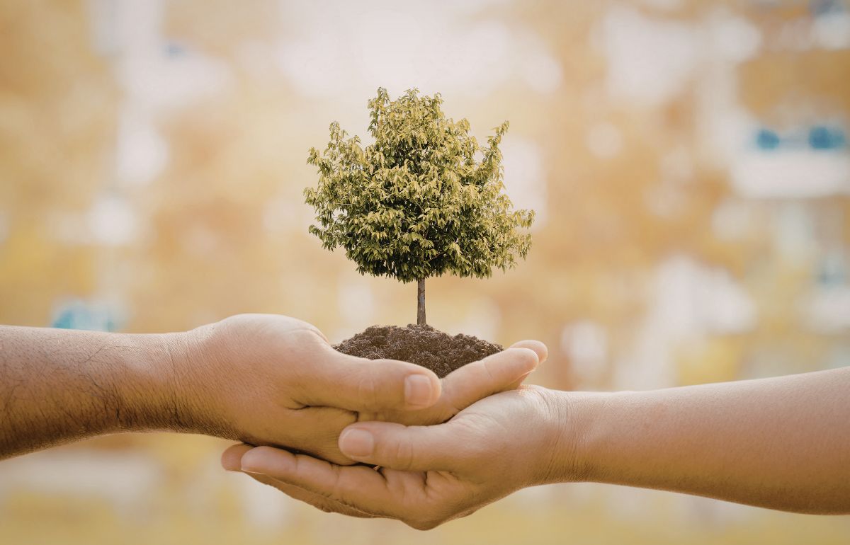 NGOs contributing to environmental protection in India