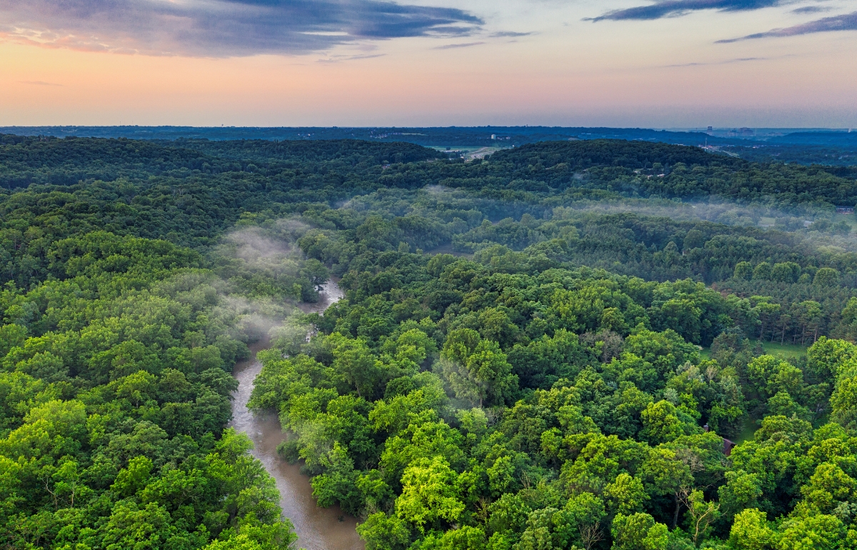 go green practices helping protect the environment for future generations
